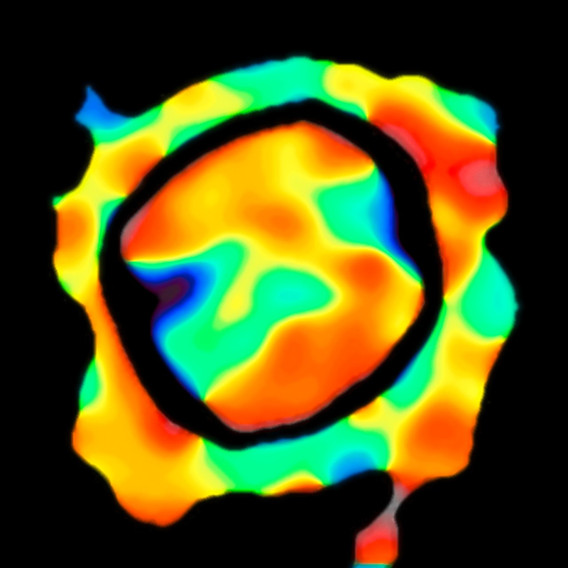 This image shows the velocity map of gas on the surface of Antares, where red is stuff moving away from us and blue is the stuff moving towards us. The black ring is a location for which data was unavailable. Image: ESO/K. Ohnaka